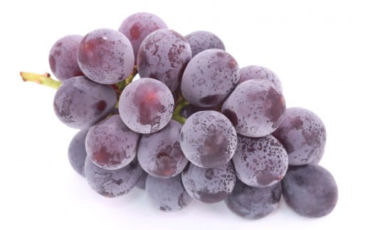 山梨県産 ドライフルーツ ぶどう房付 巨峰 50g×1とシャインマスカット 50g×2 計3個 [斎庵 山梨県 韮崎市 20742756] 干しぶどう 干しブドウ ほしぶどう レーズン ぶどう ブドウ 葡萄 詰め合わせ セット マスカット フルーツ 果物 果実 自宅用 パーティ 山梨 国産 ドライ