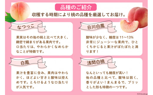 【2026年発送】 桃 山梨 3kg (7～12玉) アソート もも モモ 3キロ フルーツ 果物 くだもの 人気 旬 山梨県産 産地直送 季節限定 数量限定 期間限定発送 贈答 ジューシー なつっこ 日川白鳳 白鳳 浅間白桃 [OUTTA REACH JAPAN 山梨県 韮崎市 20742863]