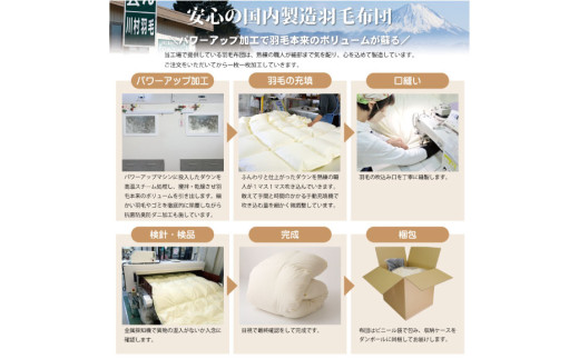 【中厚】高級 軽量 高品質 羽毛布団 シングル 合掛け 羽毛 布団 Animex プレミアムハンドセレクト ポーランド産 マザーグースダウン98％ 0.7kg 掛け布団 春用 秋用 シルバーグレー 柄 稀少 ダウンケット 合掛け布団 ダウンかけ布団 日本製 綿100％ ふとん 羽毛ふとん 寝具 手選別 [川村羽毛 山梨県 韮崎市 20742889]