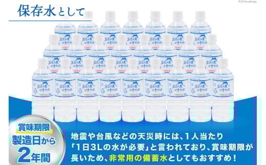富士山麓 四季の水 / 48本×500ml(24本入2箱)・ミネラルウォーター 水 飲料水 ドリンク 飲み物 箱買い ペットボトル 2リットル 2l 地震 台風 津波 災害 防災 備蓄 保存水 非常用 [有限会社百花 山梨県 韮崎市 20742912]
