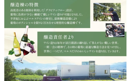 ワイン 白 スパークリング おまかせ マルスワイン2本セット ～夏の陣～ [本坊酒造 マルス穂坂ワイナリー 山梨県 韮崎市 20743116] 白ワイン スパークリングワイン 夏のワイン シャトーマルス