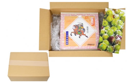 【塩分11％】しそ風味 干し小梅 600g×1 [山梨農産食品 山梨県 韮崎市 20743186] 梅干し 梅干 うめぼし 梅 小粒 小梅 国産 しそ