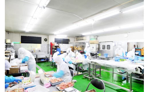 焼き鳥 焼鳥たれ付き9種(42本セット) [山本食肉 山梨県 韮崎市 20743348] やきとり 焼鳥 セット 鶏肉 冷凍 小分け 食べ比べ バーベキュー BBQ 惣菜 串 おかず おつまみ 国産 ねぎま もも つくね 砂肝