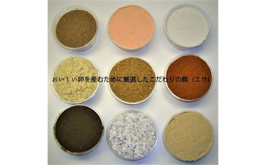 【6回 定期便 】こだわり卵 穂坂のももたま 30個×6回 総計180個 [ハイチック 山梨県 韮崎市 20743399] 卵 たまご エコパック ももいろ ピンク かわいい