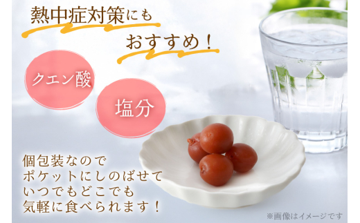 【やばいだろ】粋な小梅 30粒×15 計450粒 [山梨農産食品 山梨県 韮崎市 20743417] 梅干し 梅干 うめぼし 梅 小粒 小梅 カリカリ梅 国産 個包装