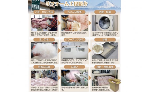 リフレッシュ 羽毛布団 掛け布団 シングル リフォーム クリーニング 布団洗浄 仕立て直し 抗ウイルス【ホワイトダックダウン90％ 無地 アイボリー】 布団打ち直し 布団リフォーム リフレッシュサービス 布団 羽毛 ふとん ダウン ダウンケット 羽毛ぶとん 打ち直し 抗菌防臭 [川村羽毛 山梨県 韮崎市 20743583]