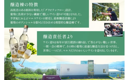 ワイン 葡萄街道360ml 白 6本セット（360ml×6本） [本坊酒造株式会社マルス穂坂ワイナリー 山梨県 韮崎市 20743927] 白ワイン Wine わいん お酒 酒 やや辛口 辛口 セット 晩酌
