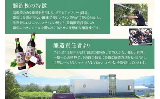 ワイン 葡萄街道360ml 赤 6本セット（360ml×6本） [本坊酒造株式会社マルス穂坂ワイナリー 山梨県 韮崎市 20743928] 赤ワイン Wine わいん お酒 酒 ミディアムボディ セット 晩酌