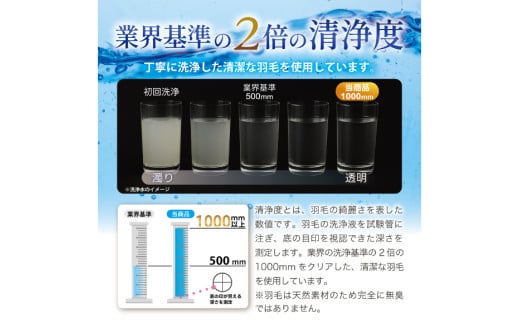【春夏用】洗える! 羽毛布団 ダウンケット ダブル ホワイトグース93% 0.6kg 抗菌防臭 無地 アイボリー [川村羽毛 山梨県 韮崎市 20745035] 羽毛 布団 ふとん 羽毛ふとん 掛け布団 肌掛け布団 寝具 夏用 洗える コインランドリー