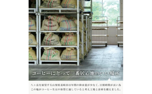【1949年創業ロースター】コーヒーバッグ50杯セット コーヒー バッグ セット 自家焙煎 珈琲 詰め合わせ 珈琲 コーヒー エイジングコーヒー ティーバッグ [株式会社コクテール堂 山梨県 韮崎市 20745110]