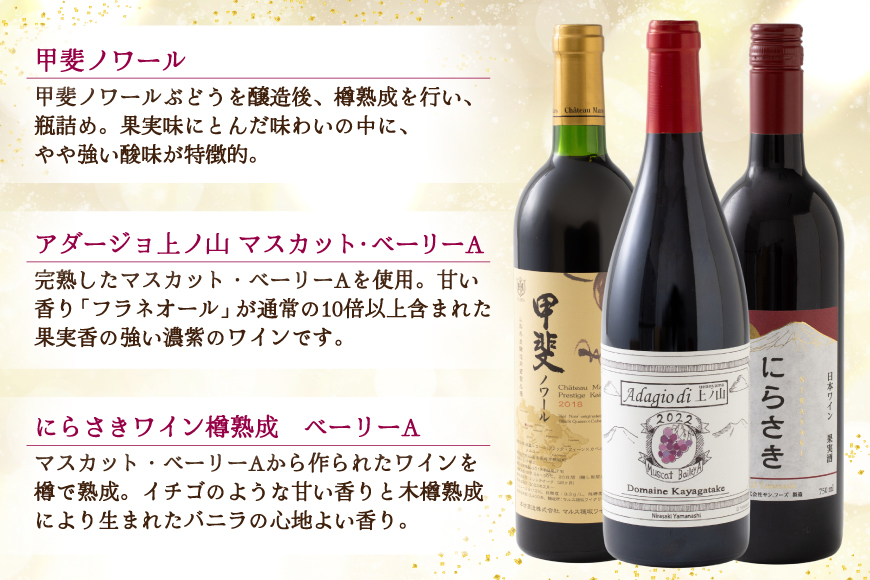 ワイン 赤ワイン好き必見！ 韮崎産 赤ワイン 9本 飲み比べ セット 750ml 8本 720ml 1本 [株式会社まあめいく 山梨県 韮崎市 20745325] ワイン Wine わいん 飲み比べセット お酒 酒 山梨ワイン セット