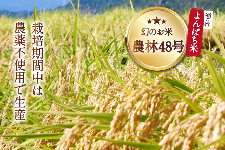 出産祝い 内祝い おめでとう！赤ちゃんもぐもぐお食い初め3点セット [リョーウン 山梨県 韮崎市 20743163] 名入れ ギフトセット 食器 お米 米 体重米 スプーン スタイ 出産 記念 ギフト