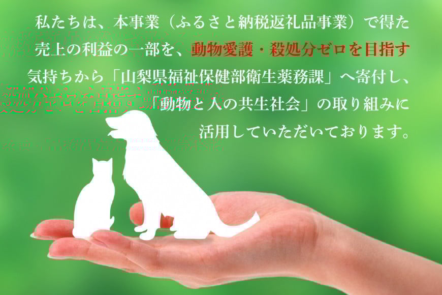 【2026年発送】 桃 2kg (5～8玉) アソート もも モモ 2キロ フルーツ 果物 くだもの 人気 旬 山梨県産 産地直送 季節限定 数量限定 期間限定発送 贈答 ジューシー なつっこ 日川白鳳 白鳳 浅間白桃[OUTTA REACH JAPAN 山梨県 韮崎市 20742862]