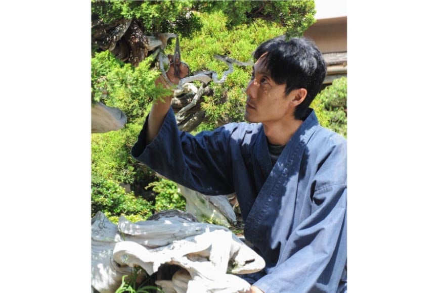 オリーブの盆栽教室 体験チケット [秋山園 山梨県 韮崎市 20742994] チケット 体験 手作り 盆栽 オリーブ 観葉植物 インテリア 癒やし 緑