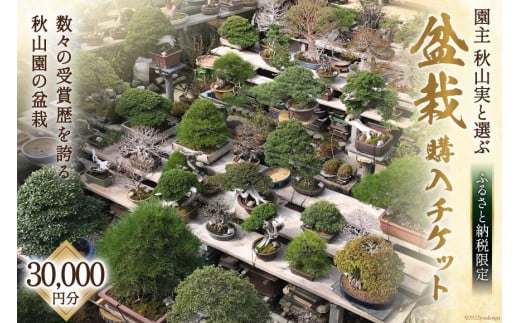 ふるさと納税限定 園主 秋山実と選ぶ 盆栽購入チケット 30,000円分 / 秋山園 / 山梨県 韮崎市