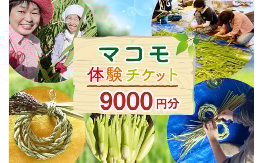 マコモ体験チケット（9,000円分）田植え 収穫 マコモ料理 手仕事体験 [マコモ農園さんさん 山梨県 韮崎市 20742714] 体験 子ども 子供 まこも 真菰 マコモ 真菰茶 まこも茶 マコモ茶 マコモダケ 体験型