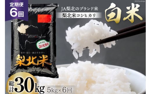 【定期便】【6回 米 定期便 】 梨北米 コシヒカリ 5kg×6回 総計30kg [梨北農業協同組合 山梨県 韮崎市 20742740] こしひかり お米 おこめ こめ コメ 精米 30キロ ご飯 ごはん 白米 国産 JA梨北