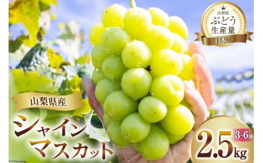 【2026年発送】 シャインマスカット 予約 山梨 マスカット シャイン ブドウ ぶどう 葡萄 種無し 2.5kg 3～ 6房 朝採れ 朝どれ 山梨県産 フルーツ 果物 2.5キロ 高品質 厳選 産地直送 季節限定 数量限定 期間限定発送 [OUTTA REACH JAPAN 山梨県 韮崎市 20742861]