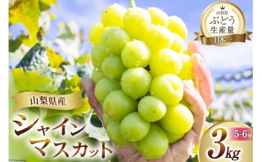 【2026年発送】 シャインマスカット 予約 約 3kg 5～ 6房 山梨 山梨県産 厳選 フルーツ大国 山梨県 産地直送 フルーツ 果物 マスカット シャイン 先行受付 先行予約 ブドウ ぶどう 葡萄 種無し 3キロ 数量限定 期間限定 [OUTTA REACH JAPAN 山梨県 韮崎市 20742971]