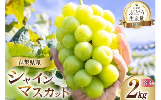 【2026年発送】先行受付 シャインマスカット 山梨 予約 約 2kg 3～ 4房 厳選 フルーツ大国 山梨県 産地直送 フルーツ 果物 マスカット シャイン 先行予約 ブドウ ぶどう 葡萄 種無し 2キロ 数量限定 山梨県産 [OUTTA REACH JAPAN 山梨県 韮崎市 20742972]