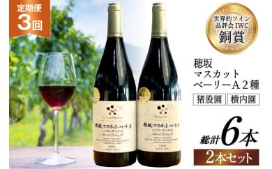 定期便 ワイン セット 穂坂マスカット・ベーリーＡ シングル・ヴィンヤード 750ml×2種×3回 酒 ワイン 赤ワイン / シャトー・メルシャン 勝沼ワイナリー / 山梨県 韮崎市 [20743312]