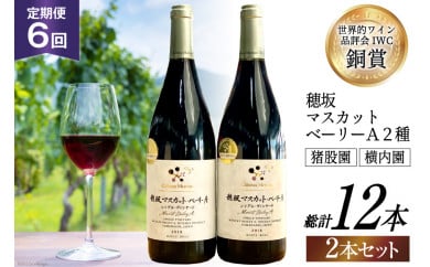 定期便 ワイン セット 穂坂マスカット・ベーリーＡ シングル・ヴィンヤード 750ml×2種×6回 酒 ワイン 赤ワイン / シャトー・メルシャン 勝沼ワイナリー / 山梨県 韮崎市 [20743313]