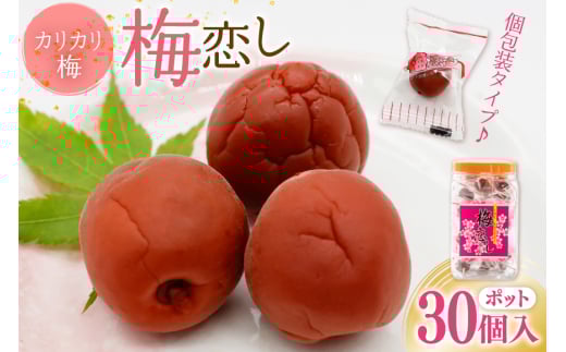 梅干し 梅恋しポット 30個入 [山梨農産食品 山梨県 韮崎市 20743520] 梅干 うめぼし 個包装 梅 漬物 つけもの おやつ おつまみ 熱中症予防