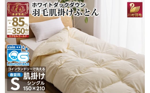 【春夏用】洗える！ 羽毛 肌掛け布団 シングル ホワイトダックダウン 85% 0.4kg (無地 アイボリー) [川村羽毛 山梨県 韮崎市 20743635] 羽毛布団 布団 ふとん 羽毛 肌掛け 掛け布団 寝具 夏用 日本製 国産 抗菌防臭 無地 コインランドリー