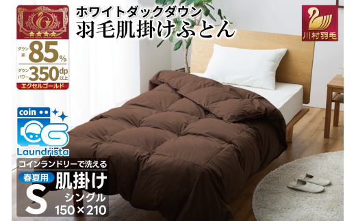 【春夏用】洗える 羽毛 肌掛け布団 シングル ホワイトダックダウン 85% 0.4kg (無地 ブラウン) [川村羽毛 山梨県 韮崎市 20743636] 掛け布団 布団 羽毛布団 ダウンケット ふとん 肌掛け ダウンケット 寝具 コインランドリー