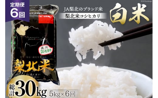 【定期便】【6回 米 定期便 】 武川米 コシヒカリ 5kg×6回 総計30kg [梨北農業協同組合 山梨県 韮崎市 20743672] こしひかり お米 おこめ こめ コメ 精米 30キロ ご飯 ごはん 白米 国産 JA梨北