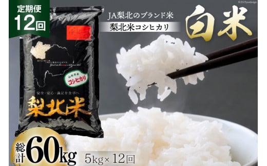 米 【定期便 12回 】梨北米 コシヒカリ 5kg 12回 総計 60kg こしひかり コシヒカリ お米 おこめ こめ コメ 精米 61キロ ご飯 ごはん 白米 お弁当 国産 JA 梨北 山梨 [梨北農業協同組合 山梨県 韮崎市 20743674]