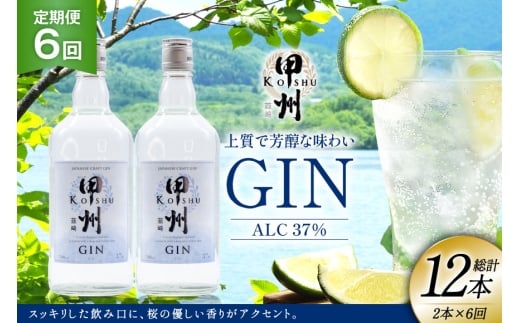 【定期便6回】甲州韮崎 ジン 700ml×2本 ジントニック ハイボール 甲州韮崎 ジン セット 酒 お酒 洋酒 地酒 スピリッツ 蒸留酒 国産 カクテル JIN ソーダ割り ソーダ アルコール 37％ ボタニカル GIN ライム [株式会社マツムラ酒販 山梨県 韮崎市 20744985]