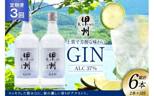 【定期便3回】甲州韮崎 ジン 700ml×2本 ジントニック ハイボール 甲州韮崎 ジン セット 酒 お酒 洋酒 地酒 スピリッツ 蒸留酒 国産 カクテル JIN ソーダ割り ソーダ アルコール 37％ ボタニカル GIN ライム [株式会社マツムラ酒販 山梨県 韮崎市 20744986]
