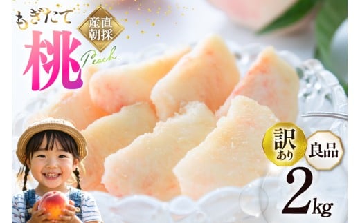 【2026年発送】訳あり 桃 山梨 良品 朝どれ 大玉 約 2.0kg 4～6玉 家庭用 朝獲れ もぎたて もも モモ フルーツ 果物 山梨県産 産地直送 期間限定 季節限定 冷蔵 農家直送 白鳳 夢みずき 浅間白桃 なつっこ 紅くにか 川中島白桃 [韮崎市桃農家の産直 山梨県 韮崎市 20745234]