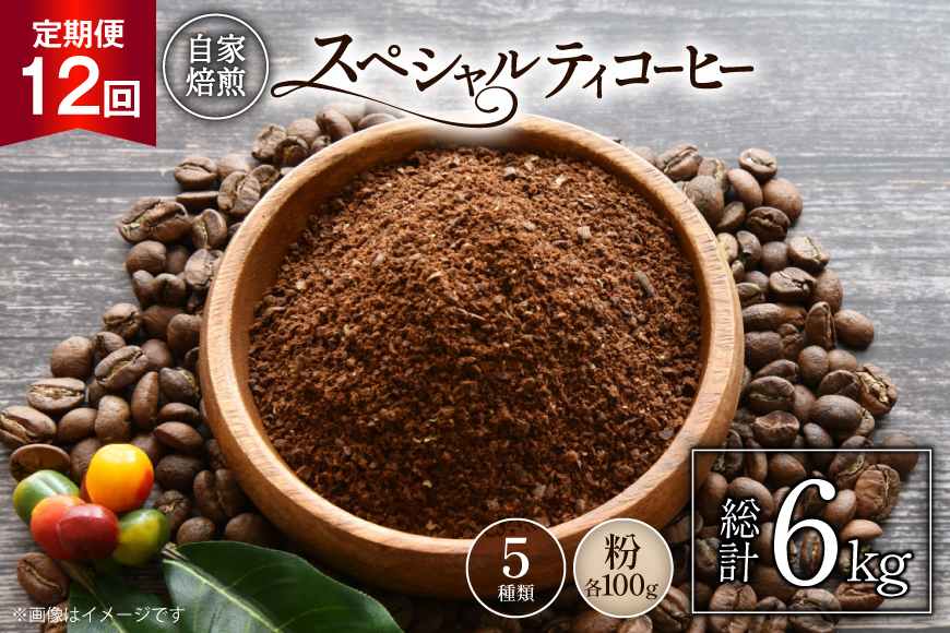 【年間定期便】 八ヶ岳珈琲 スペシャルティコーヒー 粉 100g 5種類 計500g 12ヶ月 [アフターゲームカフェ 山梨県 韮崎市 20745264] 珈琲 コーヒー コーヒー粉 珈琲豆 自家焙煎 焙煎 定期便