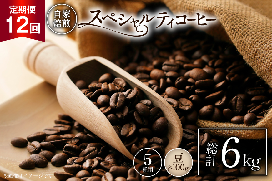 【年間定期便】八ヶ岳珈琲 スペシャルティコーヒー 豆 100g×5種類 計500g ×12ヶ月 [アフターゲームカフェ 山梨県 韮崎市 20745265] 珈琲 コーヒー コーヒー豆 珈琲豆 自家焙煎 焙煎 定期便