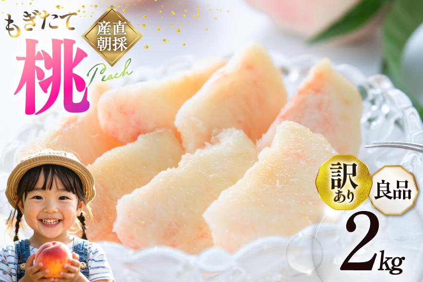 桃（川中島白桃）6玉〜10玉 約2.5kg G103992262 - 果物新 モデル