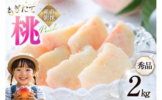 【2026年発送】桃 山梨 秀品 朝どれ 大玉 約 2.0kg 4～6玉 朝獲れ もぎたて もも モモ フルーツ 果物 山梨県産 産地直送 期間限定 季節限定 冷蔵 農家直送 白鳳 夢みずき 浅間白桃 なつっこ 紅くにか 川中島白桃 [韮崎市桃農家の産直 山梨県 韮崎市 20745235]