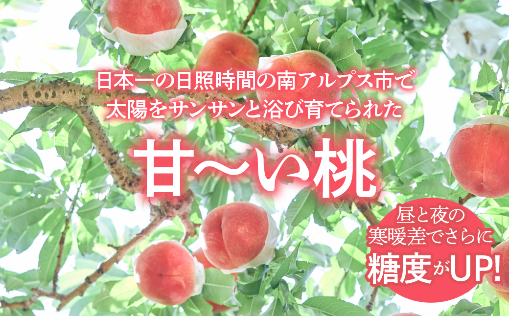 ＜2026年発送先行予約＞南アルプス市産もも 2kg以上（7玉～10玉） クール便発送 ALPAG006