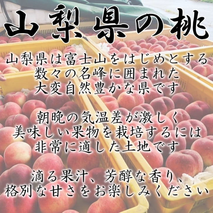 ＜2026年発送分先行予約＞山梨県南アルプス市産　高糖度　桃　【約2ｋｇ　5～8玉】 ALPAH021