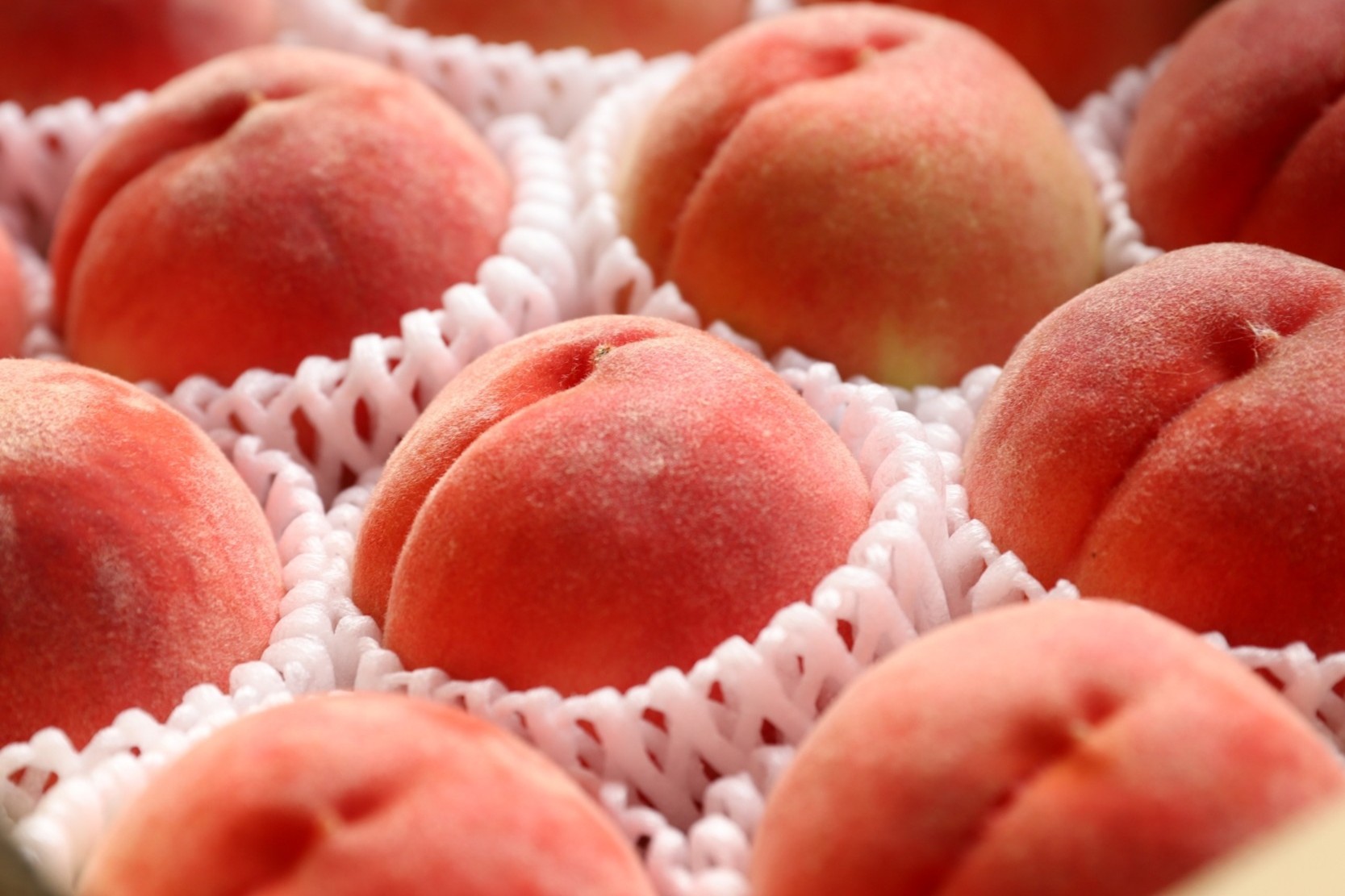 ＜2026年発送分先行予約＞山梨県南アルプス市産　高糖度　桃　【約5ｋｇ　13～20玉】 ALPAH045