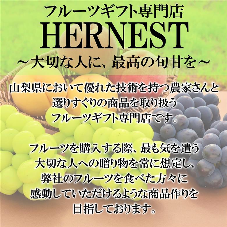 ＜2026年発送分先行予約＞山梨県南アルプス市産　高糖度　黄金桃　【約5ｋｇ　13～20玉】 ALPAH046