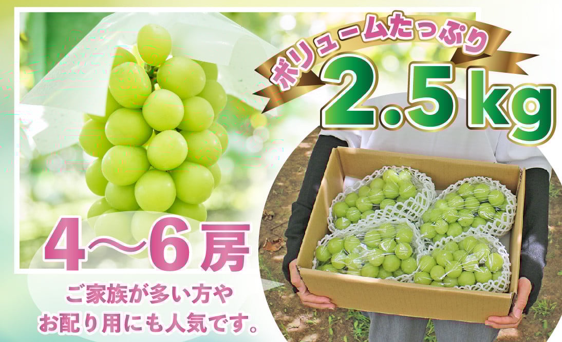 5-50【2026年発送 大容量】山梨県産 シャインマスカット2.5㎏以上(4～6房) ALPAI025