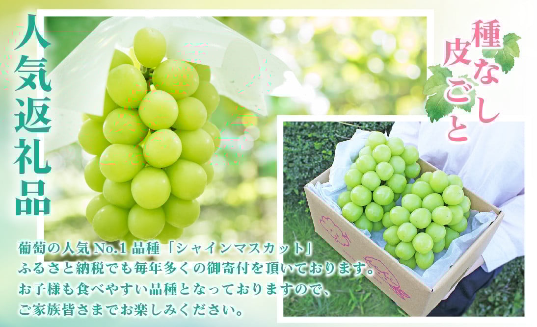 5-51【2026年発送】山梨県産 シャインマスカット2房(1㎏以上) ALPAI027