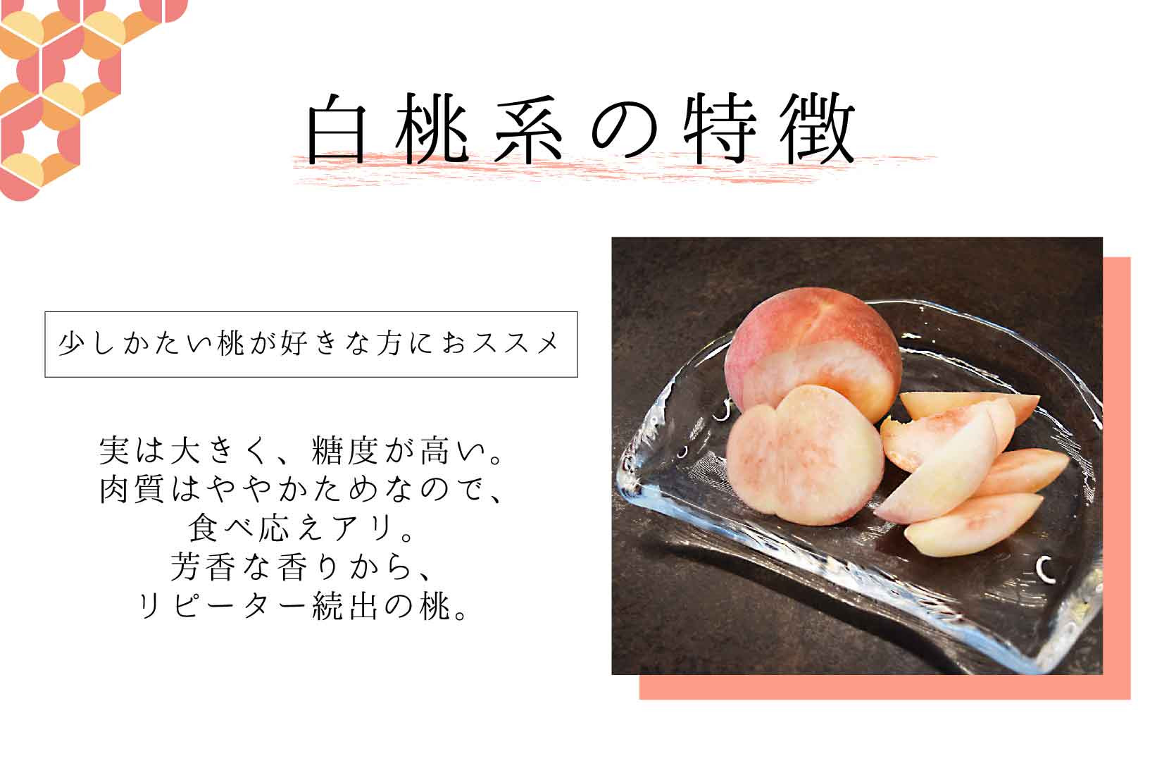 ＜2026年発送分先行予約＞山梨県産 白桃 1.8kg相当 ALPAJ018