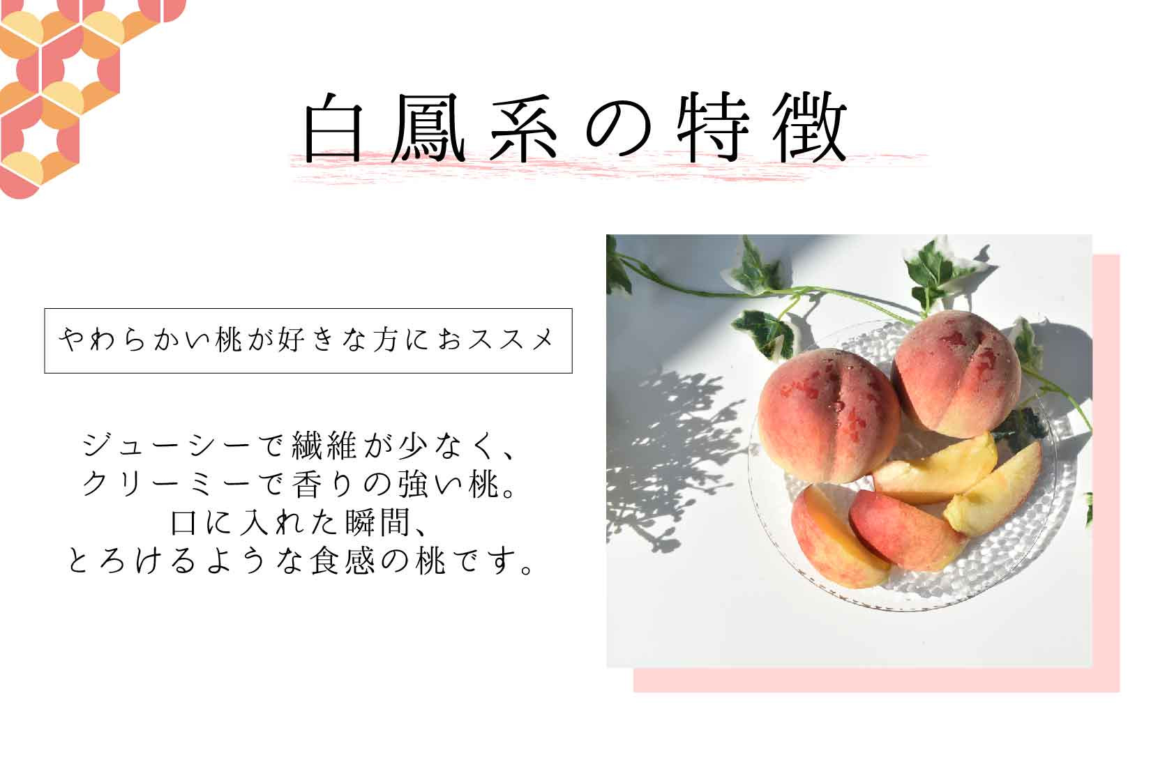 ＜2026年発送分先行予約＞ 山梨県産 白鳳 1.8kg相当 ALPAJ019