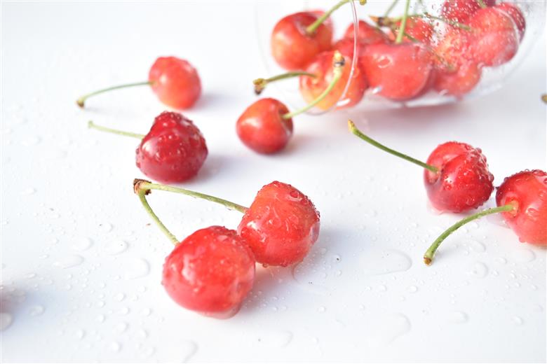 ＜2026年発送分先行予約＞マルサン農樹園　さくらんぼ　紅秀峰　約500g ALPAJ041