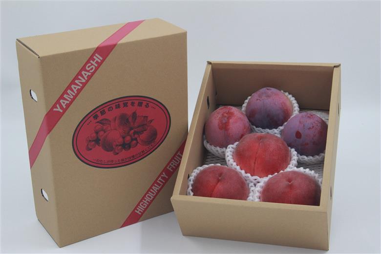 ＜2026年発送先行予約＞ 南アルプス市産　桃と貴陽の食べ比べセット　約2kg（5～10玉）