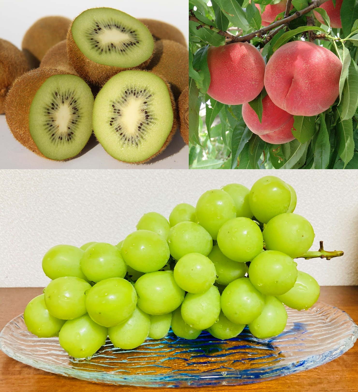 南アルプス天空舎の果樹３品その２（キウイ,もも，シャインマスカット） ALPAB008