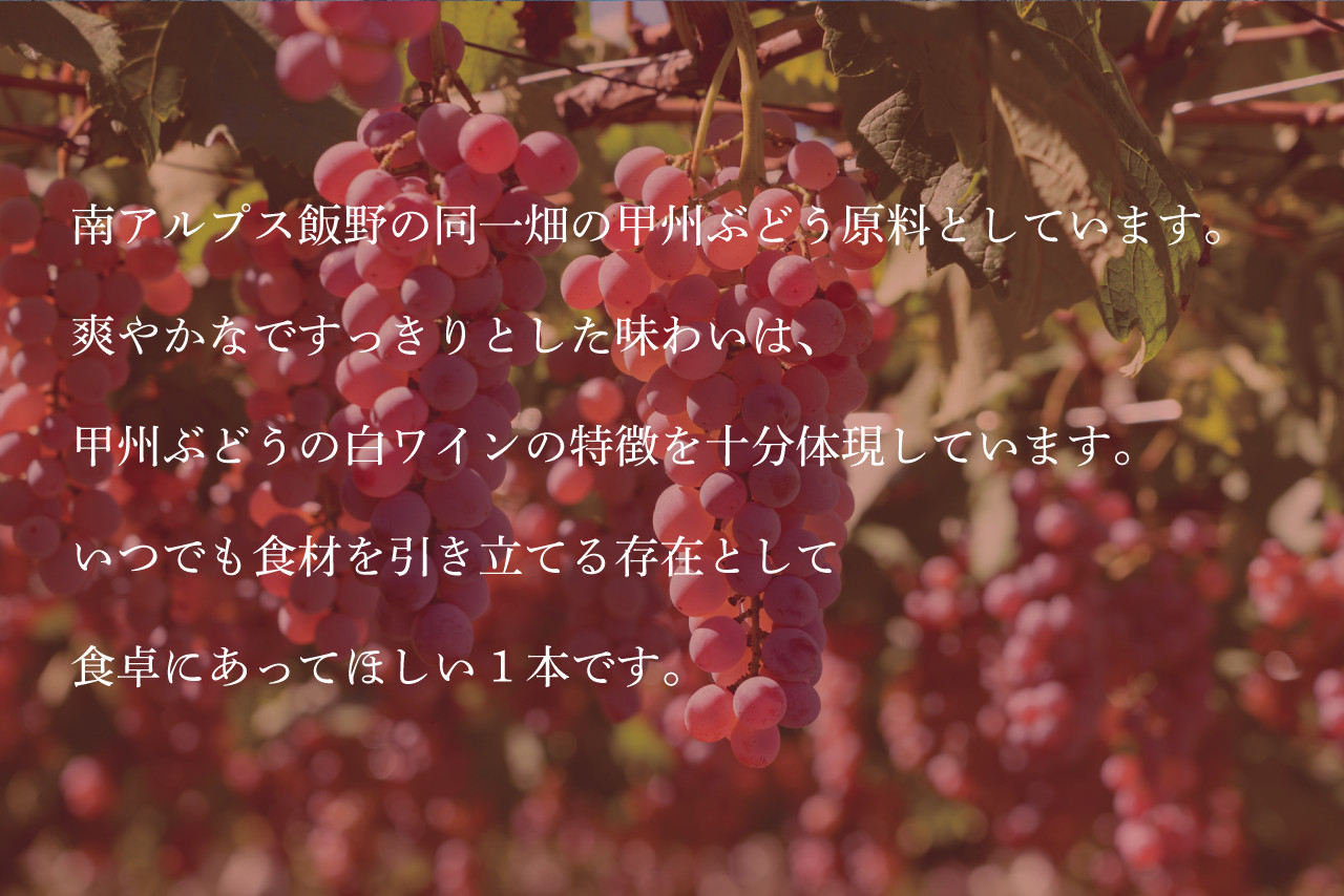 2-3-27 自社畑の甲州ぶどうで造った白ワイン「Laputa CRYSTAL」（南アルプス飯野産甲州ぶどう使用）2本 ALPAB058